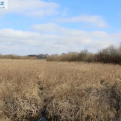 Działka rekreacyjna 4442 m2 w Kwiku blisko jeziora