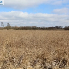 Działka rekreacyjna 4442 m2 w Kwiku blisko jeziora