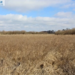 Działka rekreacyjna 4442 m2 w Kwiku blisko jeziora