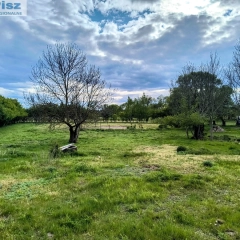 Działka siedliskowa w Zabielne 