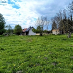 Działka siedliskowa w Zabielne 