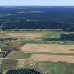 Działka o powierzchni 3000 m² w miejscowości Kwik w gminie Pisz .