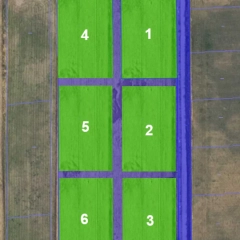 Działki o powierzchni 3000 m² w miejscowości Kwik w gminie Pisz .