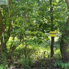 Stare Guty-Działka pod zabudowę jednorodzinną