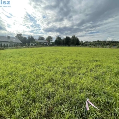 Orłowo działki - warunki zabudowy. 