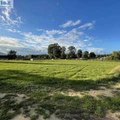 Działki Orłowo (w-z) zabudowa jednorodzinna