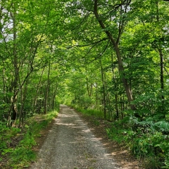Działka budowlana 1405 m² – Ublik, Mazury