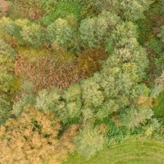 Siedlisko z duszą na skraju wsi – Rolki 20