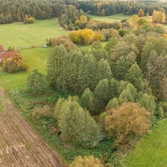 Siedlisko z duszą na skraju wsi – Rolki 20