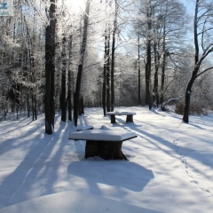 Działka rekreacyjna w Karwiku 