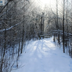 Działka rekreacyjna w Karwiku 