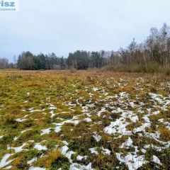 Działka rekreacyjna w Karwiku 