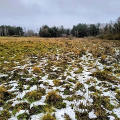 Działka rekreacyjna w Karwiku 