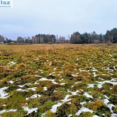 Działka rekreacyjna w Karwiku 