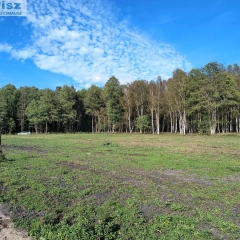 6 dużych działek rekreacyjnych 150 m od jeziora Roś, Pilchy