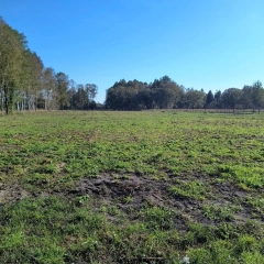 6 dużych działek rekreacyjnych 150 m od jeziora Roś, Pilchy