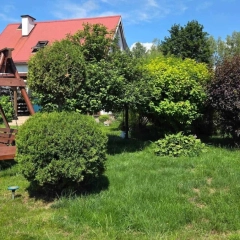 Sprzedam klimatyczny w m. Babrosty 