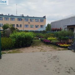 Szkółka drzew i krzewów 