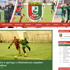 Nowoczesna strona internetowa dla Twojej firmy