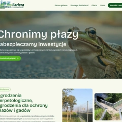 Nowoczesna strona internetowa dla Twojej firmy