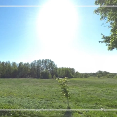 Działki na Mazurach  3000 m² 