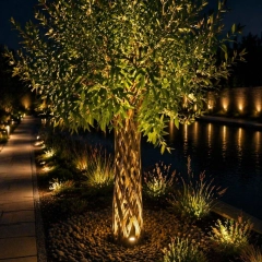 Szkółka drzew i krzewów 