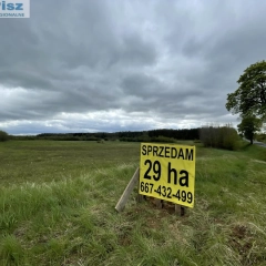 29 hektarów Gmina Biała Piska