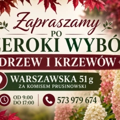 Szkółka drzew i krzewów 