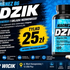 MAGNEZ B6 DZIK®