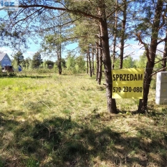 Dwie działki budowlane w Szczechach Wielkich 