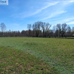 6 dużych działek rekreacyjnych w Pilchach 150 m od jeziora Roś