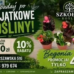 Szkółka drzew i krzewów 
