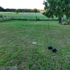 Działka rekreacyjna 10 arów w Kwiku w pobliżu jeziora Śniardwy 