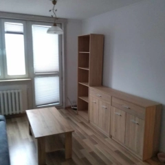 wynajmę