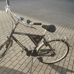 Rower Batavus Adagio 