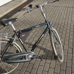 Rower Batavus Adagio 