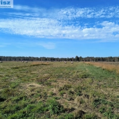 Pilchy, działka 3000m2 sprzedaż w drodze składania ofert 
