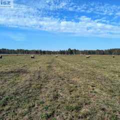 Pilchy, działka 3000m2 sprzedaż w drodze składania ofert 