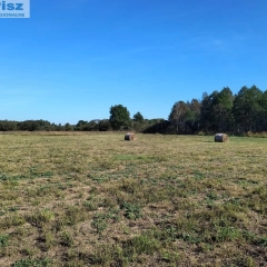 Pilchy, działka 3000m2 sprzedaż w drodze składania ofert 