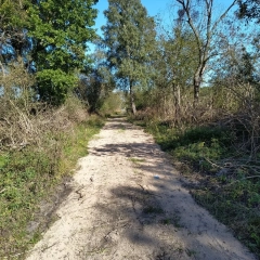 Pilchy, działka 3000m2 sprzedaż w drodze składania ofert 