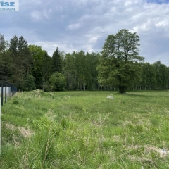 Działka budowlana WĄGLIK KOLONIA 1690m2 z wydanymi warunkami zabudowy 