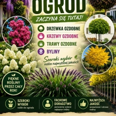 Szkółka drzew i krzewów ozdobnych 