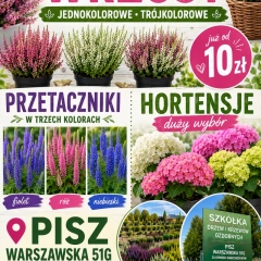 Szkółka drzew i krzewów 