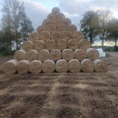 Sprzedam bele słomy