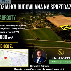 Działka budowlana 3000 m² z warunkami zabudowy na 3 domy – Babrosty