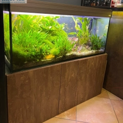 Akwarium 300l 