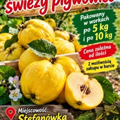 Pigwowiec 