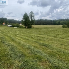 6 km do Jeziora Roś, Zabielne-działka 3 700 m², warunki zabudowy