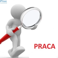 Szukam pracy 