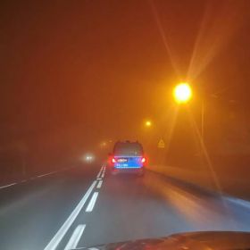 MINIONEJ DOBY NA DROGACH POWIATU PISKIEGO DOSZŁO AŻ DO TRZECH ZDARZEŃ Z UDZIAŁEM DZIKICH ZWIERZĄT
